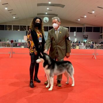Exposición Nacional Canina de Murcia 2021. Mejor de sexo opuesto